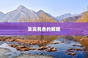 及宾有鱼的解释