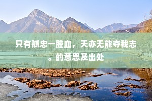 只有孤忠一腔血，天亦无能夺我志。的意思及出处