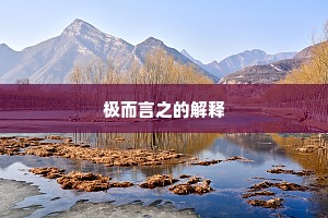 极而言之的解释