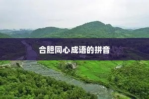 合胆同心成语的拼音