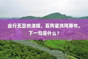 此行无足供清娱，喜购梁鸿殉葬书。下一句是什么？