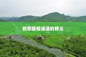 鹤怨猿惊成语的释义