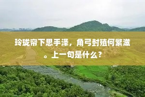 玲珑帘下思手泽，角弓封殖何繁滋。上一句是什么？