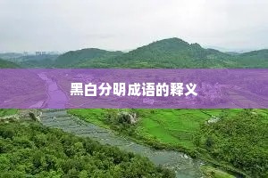 黑白分明成语的释义