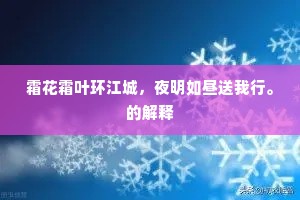 霜花霜叶环江城，夜明如昼送我行。的解释