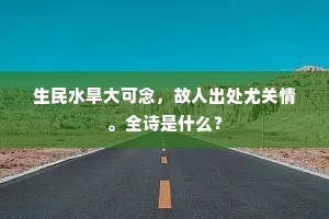 生民水旱大可念，故人出处尤关情。全诗是什么？