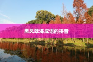 黑风孽海成语的拼音