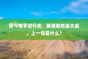 而今撒手空行去，脉望翩然返太虚。上一句是什么？