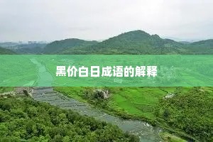 黑价白日成语的解释