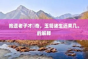 抱遗老子才茟奇，玉笥诸生远莫几。的解释
