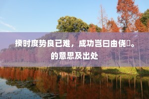 揆时度势良已难，成功岂曰由侥倖。的意思及出处