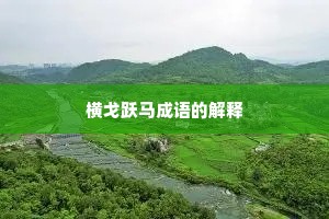 横戈跃马成语的解释