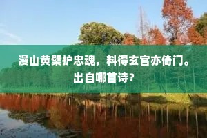漫山黄檗护忠魂，料得玄宫亦倚门。出自哪首诗？