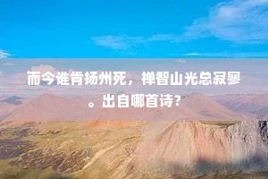 而今谁肯扬州死，禅智山光总寂寥。出自哪首诗？