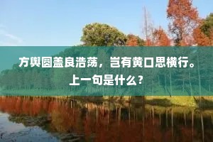 方舆圆盖良浩荡，岂有黄口思横行。上一句是什么？