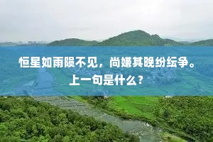 恒星如雨陨不见，尚嫌其晚纷纭争。上一句是什么？