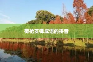 荷枪实弹成语的拼音
