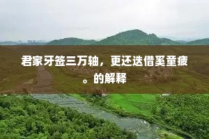 君家牙签三万轴，更还迭借奚童疲。的解释