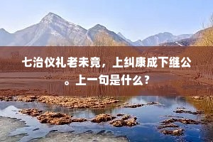 七治仪礼老未竟，上纠康成下继公。上一句是什么？