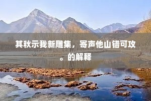 其秋示我新雕集，寄声他山错可攻。的解释