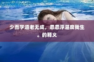 少而学道老无成，忽忽浮湛度我生。的释义