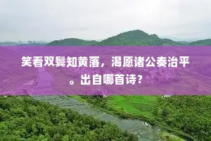 笑看双鬓知黄落，渴愿诸公奏治平。出自哪首诗？