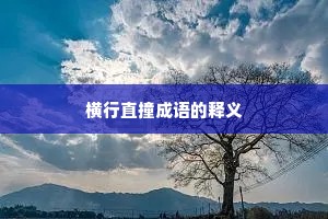 横行直撞成语的释义