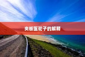 夹板医驼子的解释