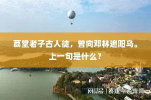 荔堂老子古人徒，曾向邓林追阳乌。上一句是什么？