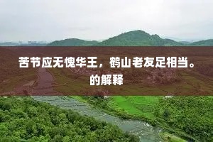 苦节应无愧华王，鹤山老友足相当。的解释