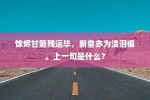 馀烬甘随残运毕，新皇亦为渍泪痕。上一句是什么？
