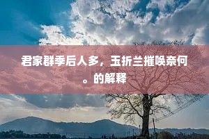 君家群季后人多，玉折兰摧唤奈何。的解释
