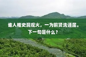 谁人榷史洞观火，一为前贤洗诬屈。下一句是什么？