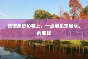 熹微疏影沁枝上，一点晨星东启明。的解释