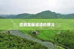 虎超龙骧成语的释义