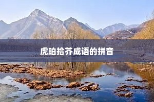 虎珀拾芥成语的拼音