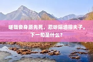 嗟哉妾身愿先死，忍听隔墙掠夫子。下一句是什么？