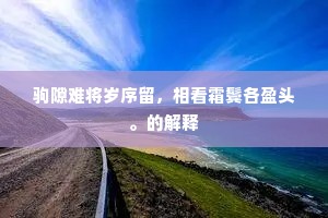 驹隙难将岁序留，相看霜鬓各盈头。的解释