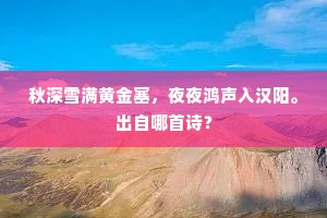 秋深雪满黄金塞，夜夜鸿声入汉阳。出自哪首诗？