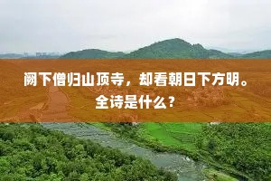 阙下僧归山顶寺，却看朝日下方明。全诗是什么？