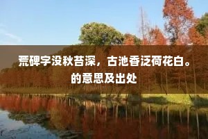 荒碑字没秋苔深，古池香泛荷花白。的意思及出处