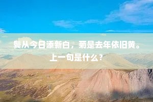 鬓从今日添新白，菊是去年依旧黄。上一句是什么？