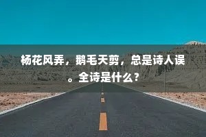 杨花风弄，鹅毛天剪，总是诗人误。全诗是什么？