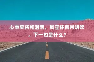 心事莫将和泪滴，凤笙休向月明吹。下一句是什么？