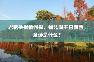 君驰桧楫情何极，我凭阑干日向西。全诗是什么？