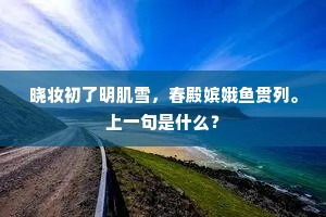 晓妆初了明肌雪，春殿嫔娥鱼贯列。上一句是什么？