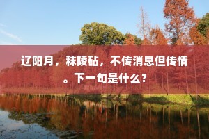 辽阳月，秣陵砧，不传消息但传情。下一句是什么？