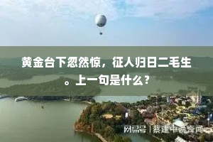 黄金台下忽然惊，征人归日二毛生。上一句是什么？
