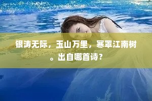 银涛无际，玉山万里，寒罩江南树。出自哪首诗？