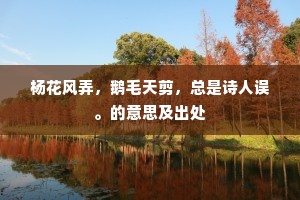 杨花风弄，鹅毛天剪，总是诗人误。的意思及出处